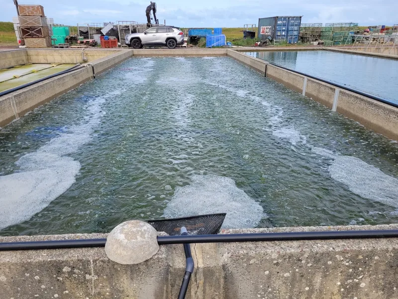 A series of concrete tanks.