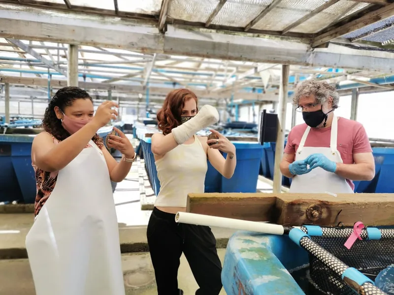 group of researchers examining abalone