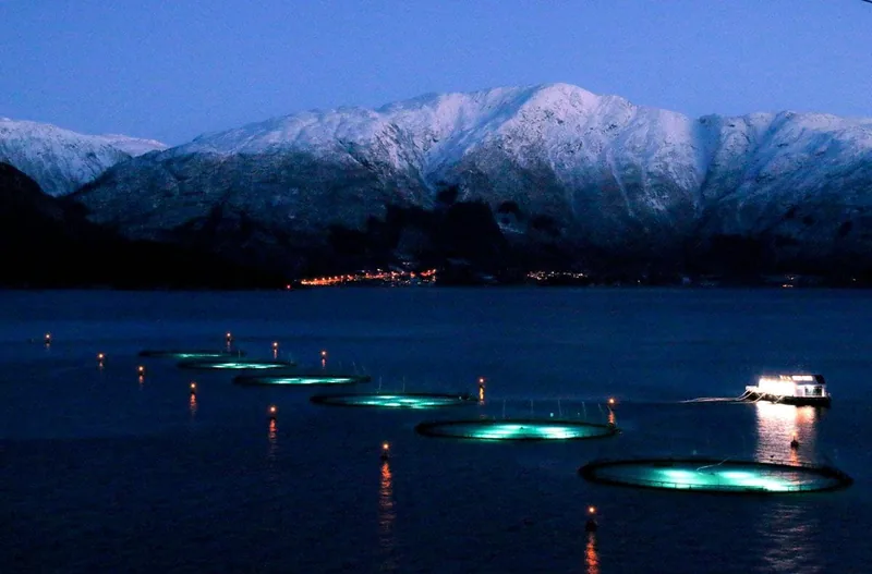 Salmon farm in Norway