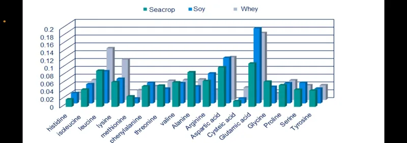 A graph.