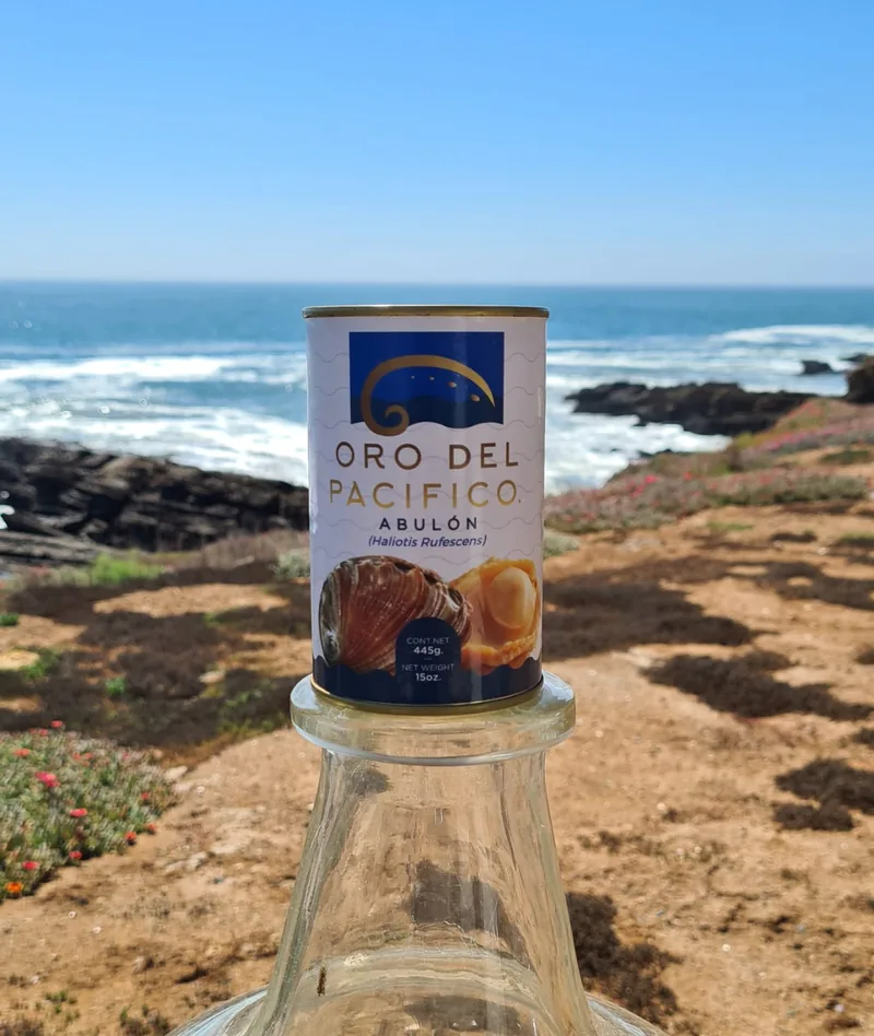 Canned abalones.