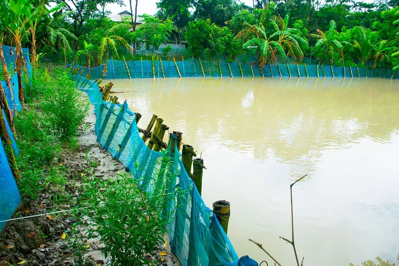 A pond surrounded by netting.