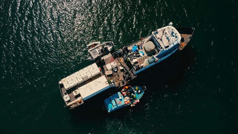 An aerial view of two boats alongside each other.