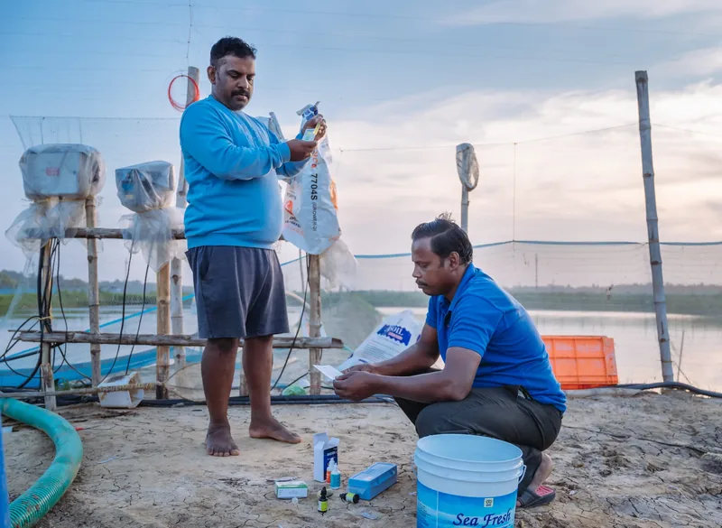 Water quality testing