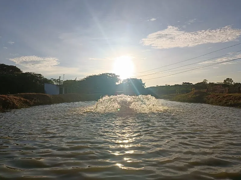A pond with an aerator in the centre at sunset.