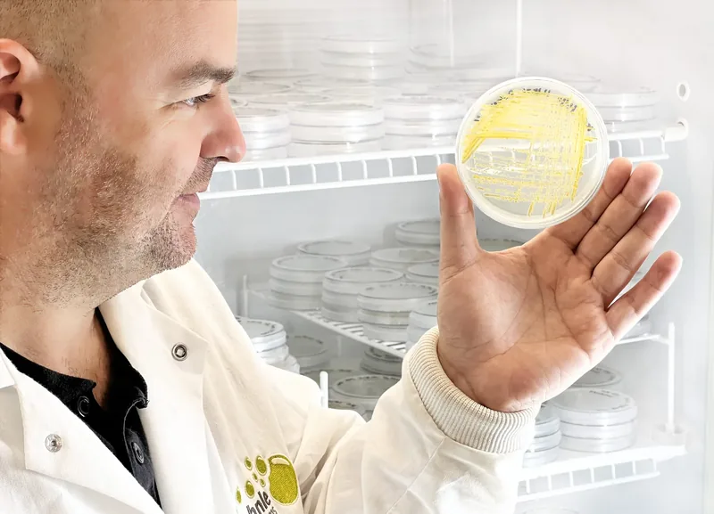 A man with a petri dish.
