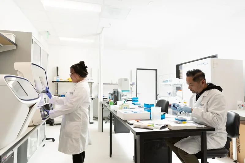 Two people working in a lab