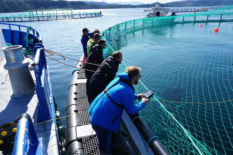 People standing at the edge of a salmon pen