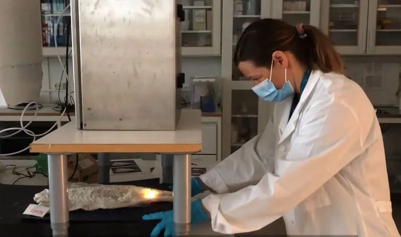 The NIR instrument in action