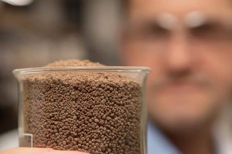 Commercially available single-celled proteins include Calysta's Feedkind