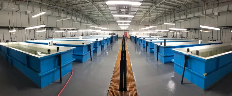 indoor fish hatchery tanks