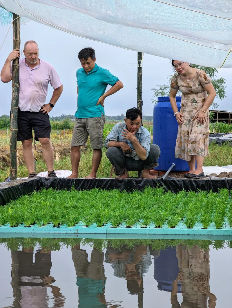 A hydroponic farming system in Tra Vinh province