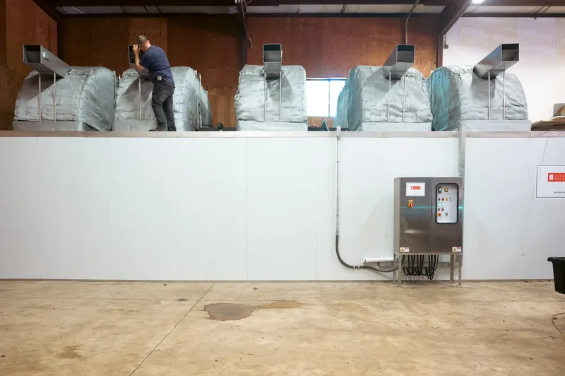Inside a kelp drying facility.