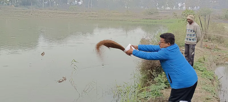 A man with fish feed.