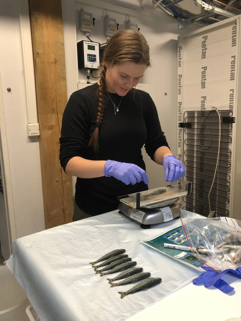 Maia Eggen has conducted extensive research on salmon parr