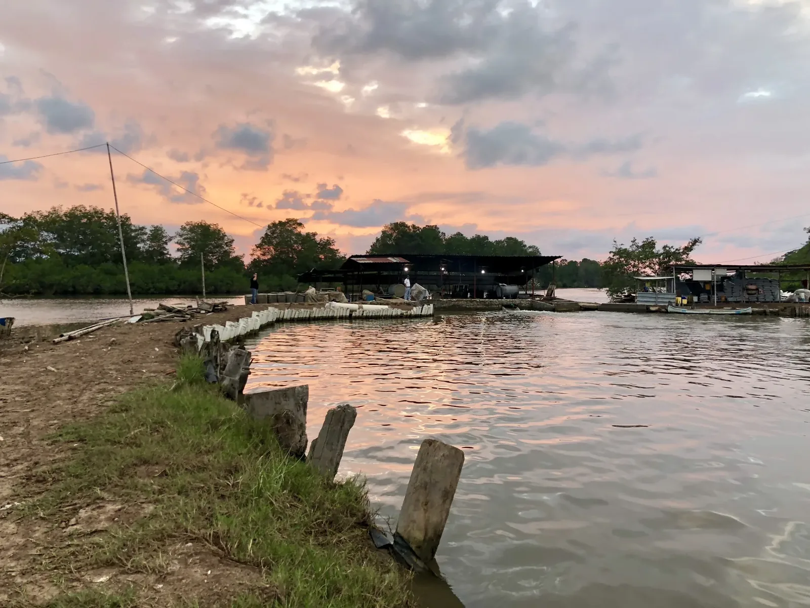 view of an earth shrimp pond at sunrise