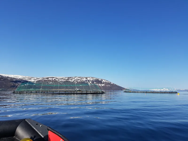 net pens near the shore