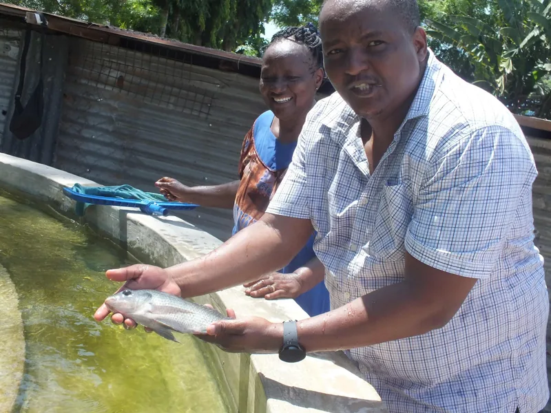 Paul Murage holding a tilapia.