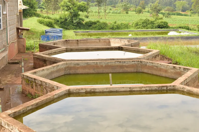 Concrete fish tanks.