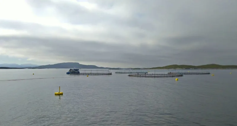 A photo of salmon farms in Norway on a cloudy day.