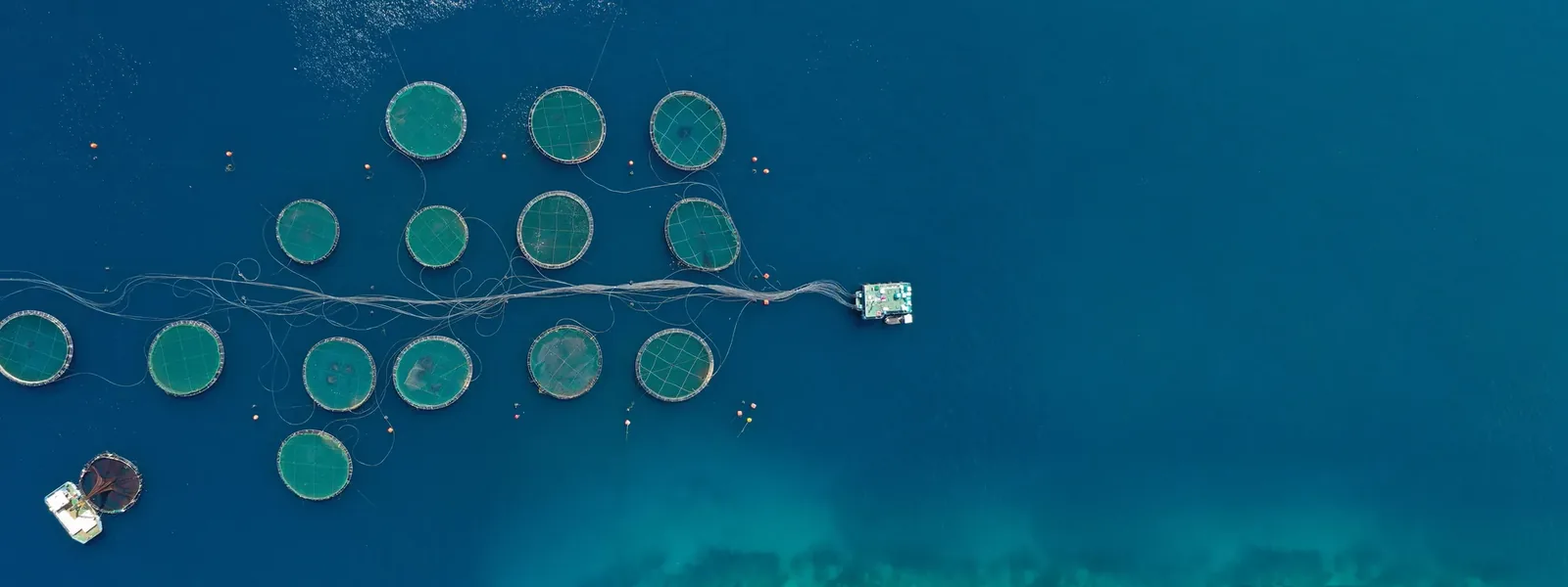 A sea bass and sea bream farm in Greece