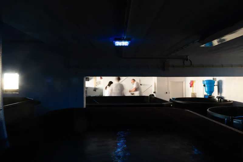 Fish tanks and people in lab coats.