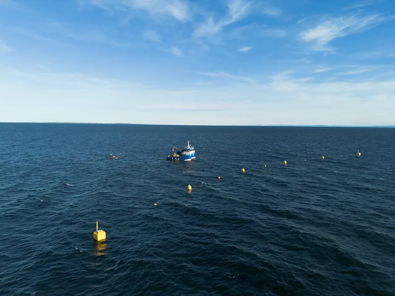 Sintef Ocean's Storflua seaweed site