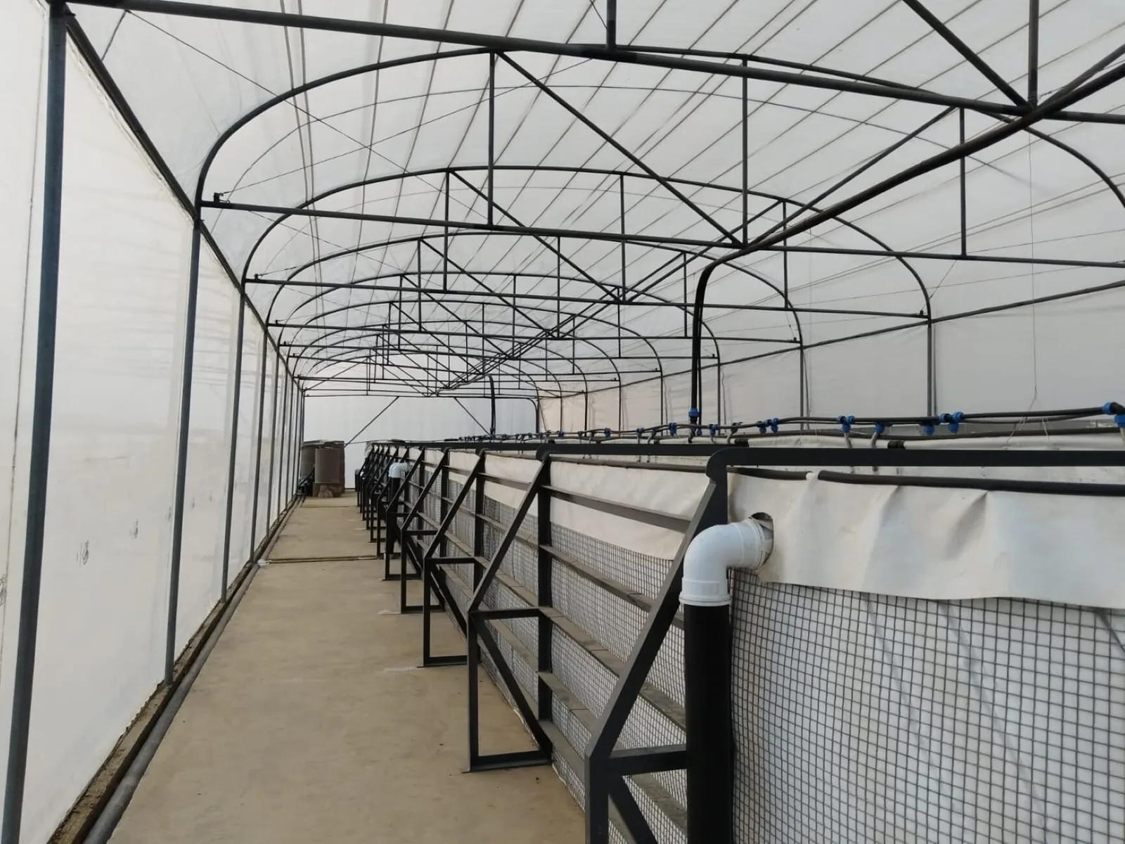 Inside an aquaponics farm with tanks above ground.