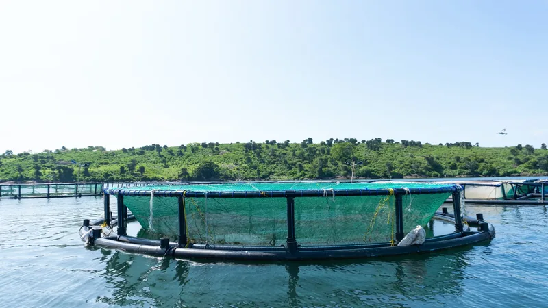 A floating fish pen.
