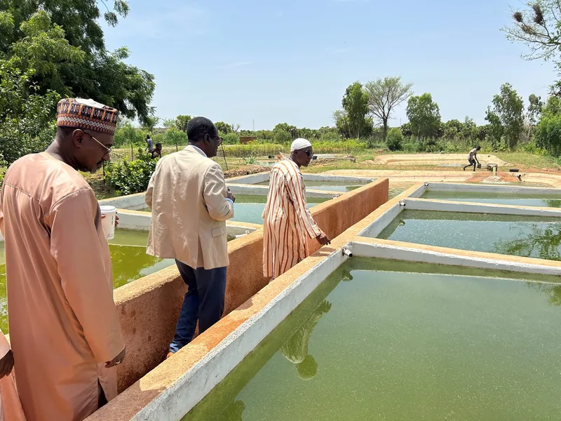 Three people looking into concrete water tanks.