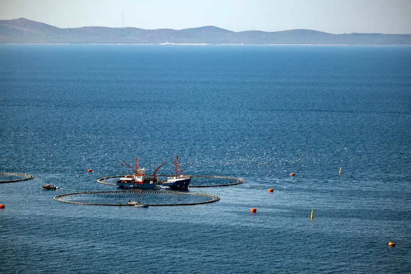 Fishing vessels next to large sea cages