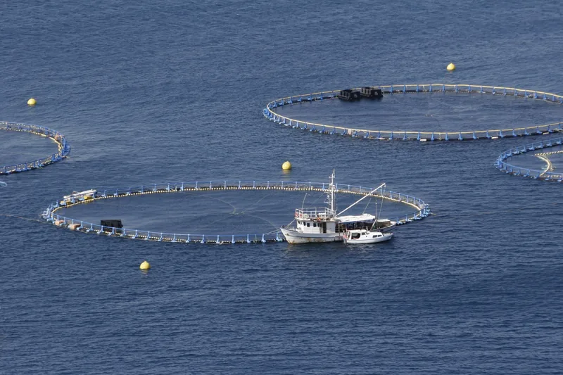 Aerial view of fishing vessel and large sea cages