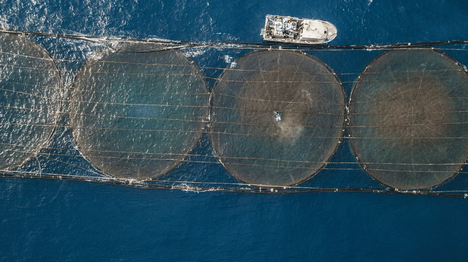 An aerial shot of an aquaculture farm using sensors to monitor feeding and more.