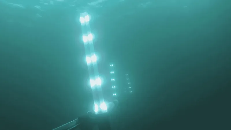 An nderwater light trap for sea lice deployed in the Norwegian sea.