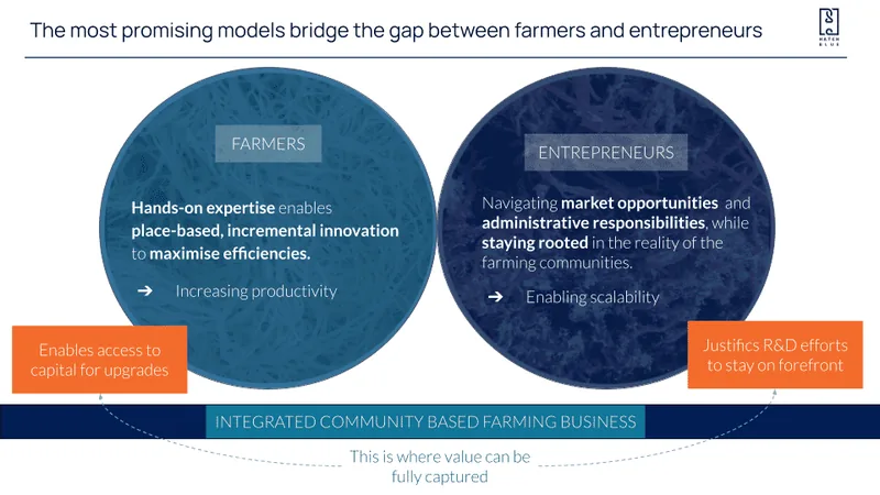 A chart illustrating the gap between seaweed farmers and entrepreneurs in Latin America.