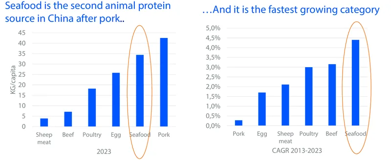 Two graphs.