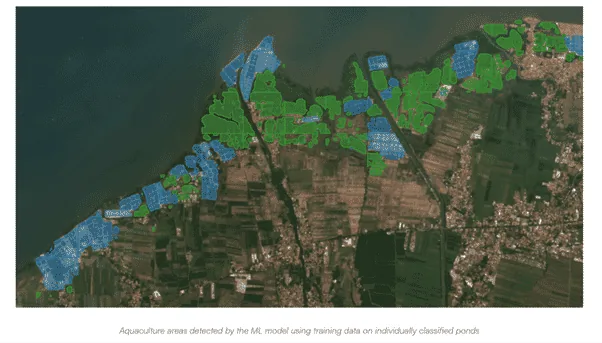 A satellite view of shrimp ponds.