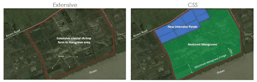 An illustration showing two contrasting approaches to shrimp farming.