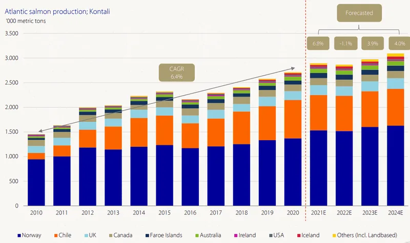 Graph showing global Atlantic salmon production between 2010 and 2024