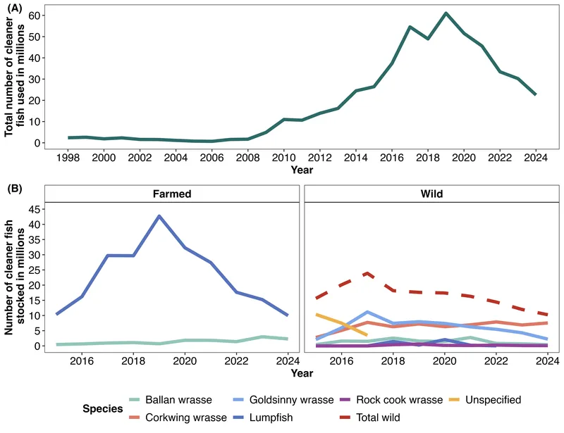 A graph showing the use of cleanerfish in Norwegian Atlantic salmon aquaculture