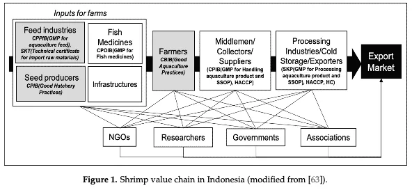 Figure 1. The Indonesian shrimp value chain (click on image to enlarge)