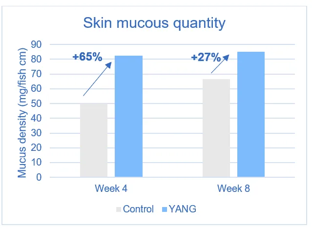 A graph.