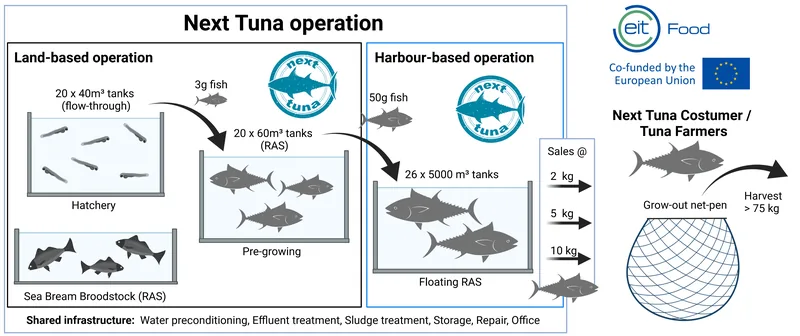 Next Tuna infographic
