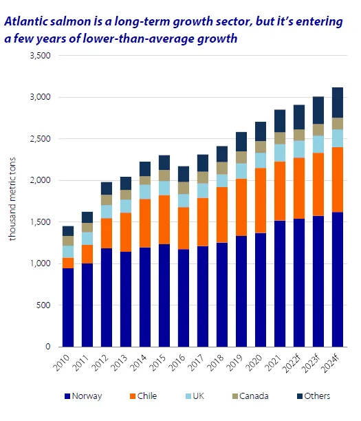 graph showing Atlantic salmon volumes between 2010 and 2024