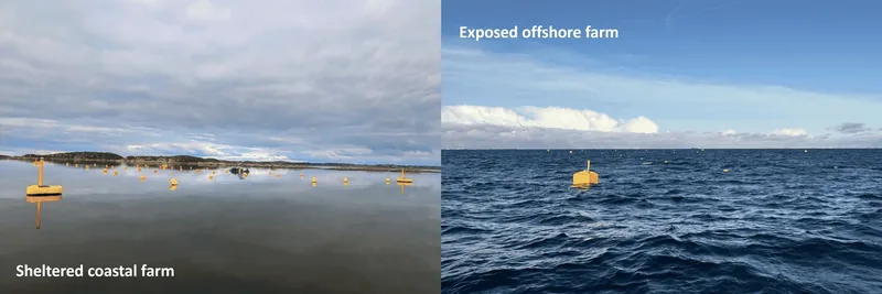 Some floats in the sea.