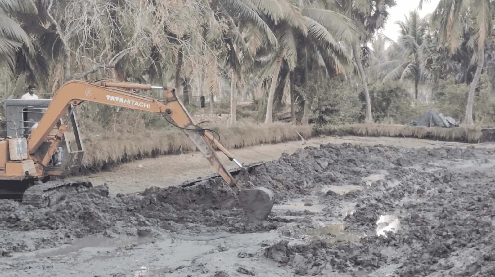 An excavator removing sludge from an empty shrimp pond.